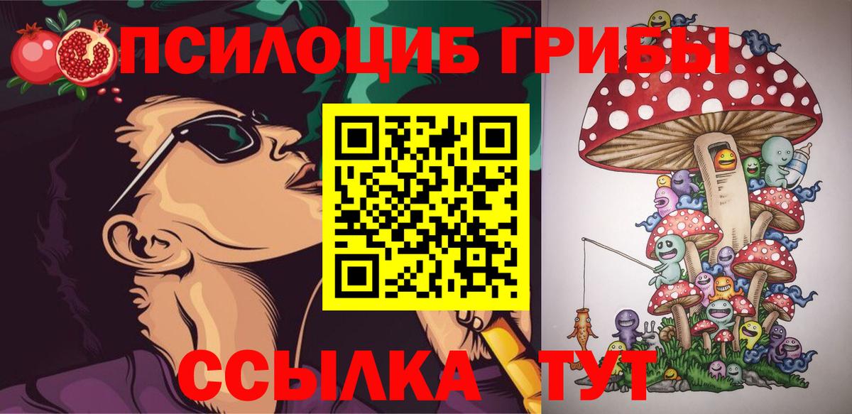 Галлюциногенные грибы Magic Shrooms Торжок