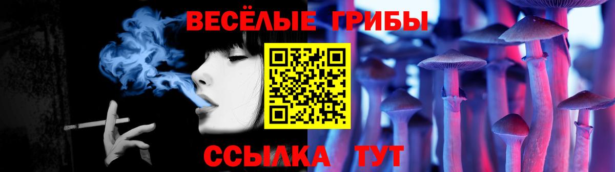 Торжок  Псилоцибиновые грибы мицелий  Вход с VPN 